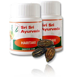 Haritaki – Terminalia Chebula For Colon Cleansing & Constipation